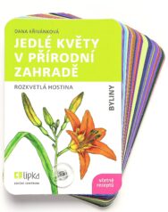 Jedlé květy v přírodní zahradě
