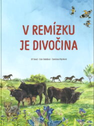 V remízku je divočina