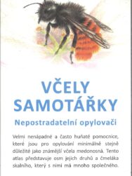 Včely samotářky