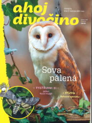 Ahoj divočino